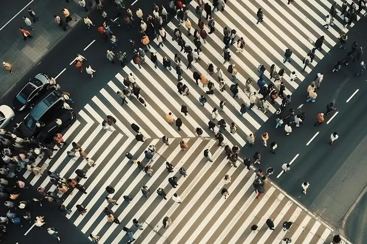 High Pedestrian or Bicycle Traffic